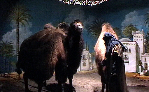weihnachtsmarkt kamele vor der kulisse heindl home